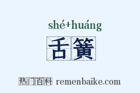 舌簧是什么意思的图片